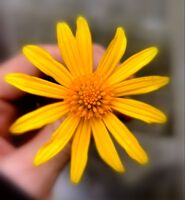 2eb4dce0424d045ca79b8f725f414185ebf4f217