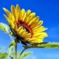 67169d229e5d2cd683dfc648dbff2d2de909e846